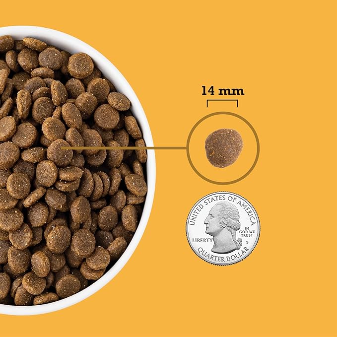 ACANA Grain Free Dry Dog Food Free Run Poultry Recipe 4.5lb Bag