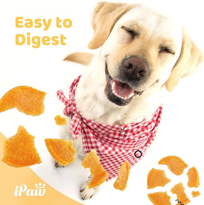 iPaw Chicken Chips Dog Treats for Puppy Training, All Natural Human Grade Dog Treat, Hypoallergenic, Easy to Digest (Chicken Chips), 2 Packs