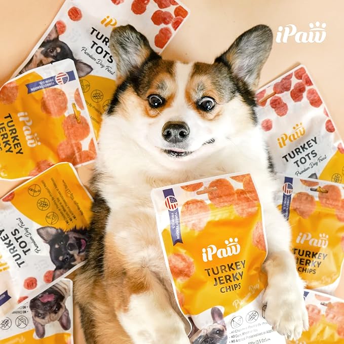 iPaw Chicken Chips Dog Treats for Puppy Training, All Natural Human Grade Dog Treat, Hypoallergenic, Easy to Digest (Chicken Chips), 2 Packs