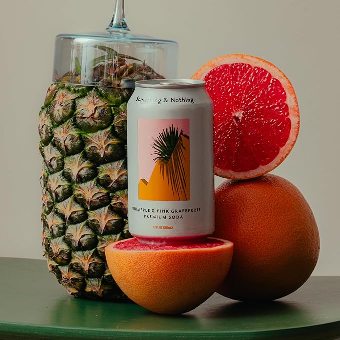 Something & Nothing Premium Soda Travelcase - Adventure | Pineapple & Pink Grapefruit, Ginger & Key Lime, Orange & Mandarin, Sicilian Lemon Iced Tea | Lightly Carbonated, Vegan & Low Calorie Sparkling Water | 12 Fl Oz Cans (Pack of 12)