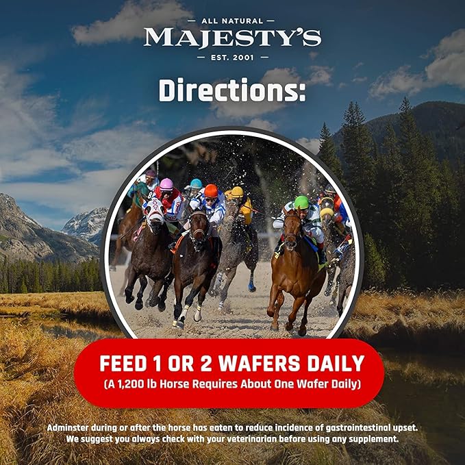Majesty's Flex Wafers - Superior Horse/Equine Joint Support Supplement - Glucosamine, MSM, Chondroitin, Yucca, Vitamin C (Peppermint, 60 Count)