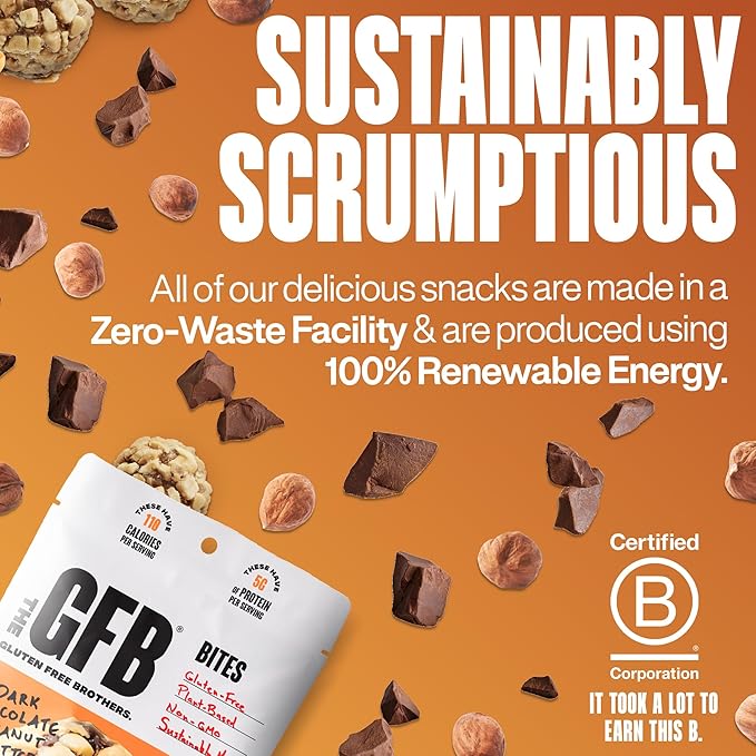 The GFB Dark Chocolate Hazelnut Protein Bites - Gluten Free, Plant Based, Non GMO, Sustainably Made – Ridiculously Tasty, Healthy, Vegan, Protein Energy Balls, 4 oz (4 Count)