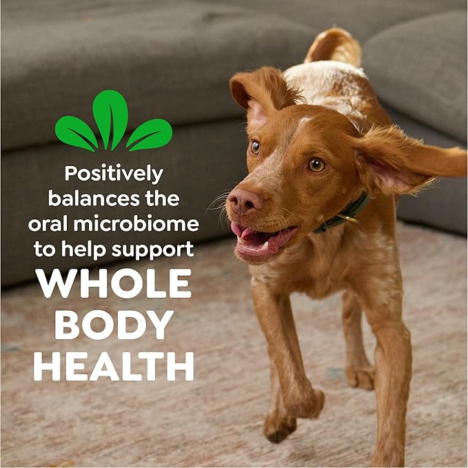 Greenies Veterinarian-Recommended Adult Natural Dental Dog Treats Teenie Size, Original Flavor, (4) 65 ct Packs (260 Treats)