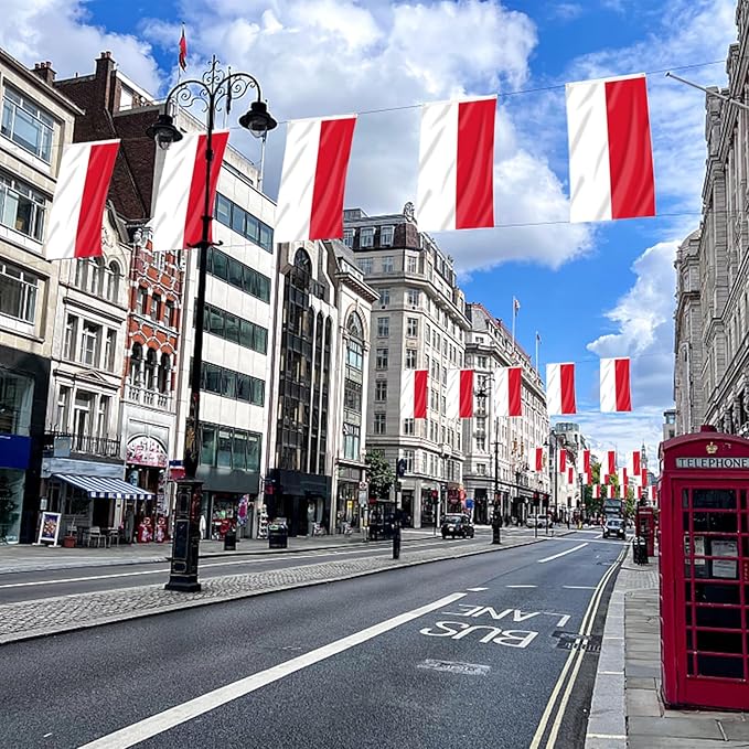 AhfuLife Polish Flag Poland Flag 3x5 Ft, Large Polish National Flags for Outside - Double Side with Brass Eyelets for Olympic Party Decorations, Bar Garden Street Decoration Indoor Outdoor