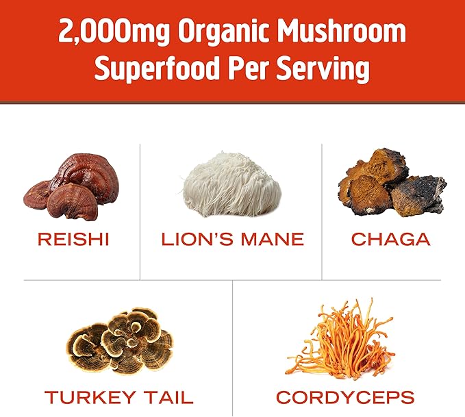 OM MUSHROOM SUPERFOOD Morning Energy Blend – Coffee-Free Mushroom Drink Mix with Cordyceps, Lion’s Mane, Rhodiola & Vitamin D2 – Natural Energy, Focus & Endurance Support – Single Serve (10 Count)