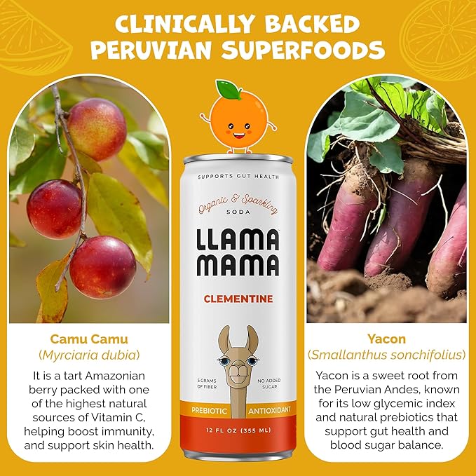 Llama Mama Clementine Organic Sparkling Prebiotic Soda • Gut & Immune Support • High Vitamin C, Antioxidants • NO Sugar • NO Artificial Sweeteners • NO Stevia • Vegan Plant Fiber • 12 Pack