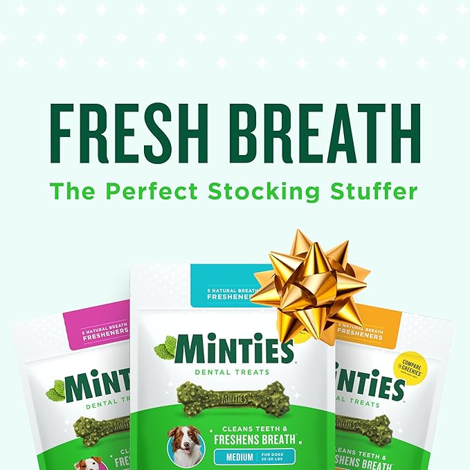 Minties Dog Dental Bone Treats, Mint, Tiny/Small, 16 oz