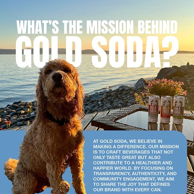 Gold Soda - Natural Ingredients - Organic Cane Sugar - Non-GMO - No Preservatives - Monk Fruit - Sparkling Water - Made with Natural and Organic Flavors, 12 Fl Oz (24 Pack) (24 Pack, Pineapple Mango)