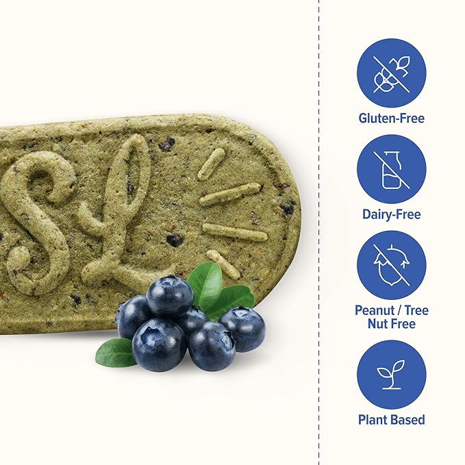 Sweet Loren's Vegan Breakfast Biscuits | Blueberry | 4g Protein, 19g Whole Grains | Plant Based, Gluten Free, Dairy Free, Nut Free Snacks | 6 Pack (30 Total Biscuits, 1.6 ounce each)