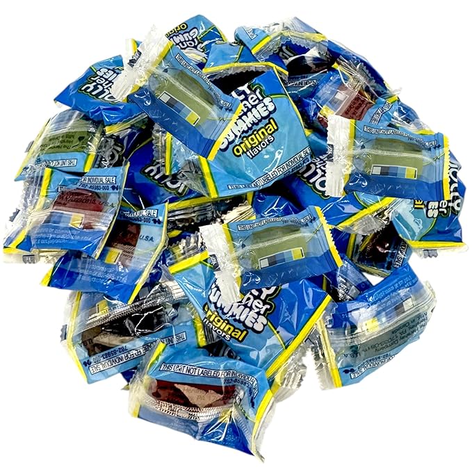 Gummies -1.5 lbs Mini Assorted Fruity Flavors-Snack Size Minis Individually Wrapped-for Irresistible Snacking Delight(24 oz)