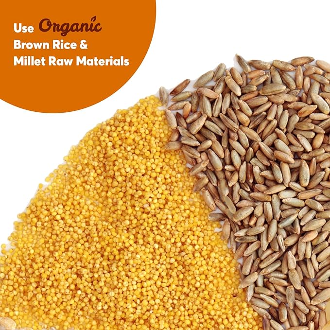 ONETANG Organic Millet & Brown Rice Ramen Noodle, Gluten-Free Pasta, No Sodium Ramen, Whole Grain, Non-GMO, Kosher, Vegan 2.47 Oz (Pack Of 12)