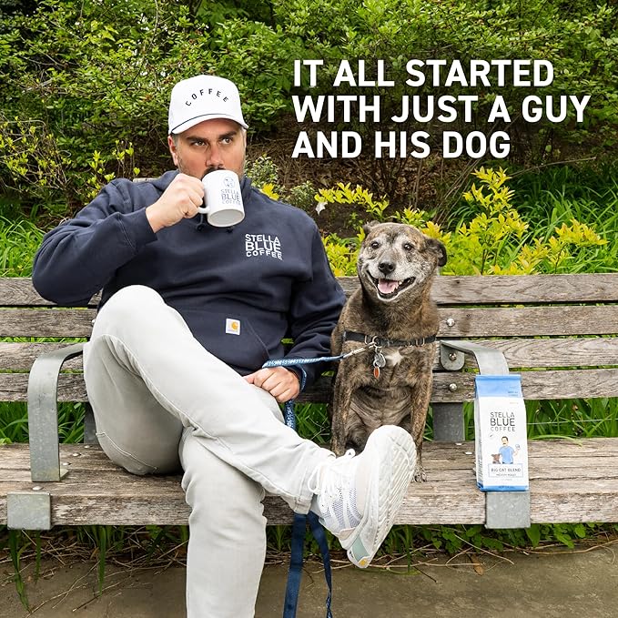 Stella Blue Espresso Caffe Mocha Cans, Ready-to-Drink Coffee Energy Beverage, 100% Colombian Coffee, 190mg Natural Caffeine, Gluten Free & Good Source of Protein, 11oz Can, 12 Pack