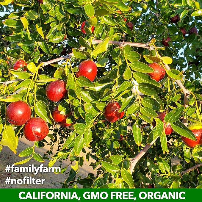 USDA Organic California Grown Pure Jujube Product | JUJUME Crisps | Sweet Jujube Chips | ZERO Added Sugar or Preservatives | All-Natural Healthy Snack | 20-pack 3oz bags
