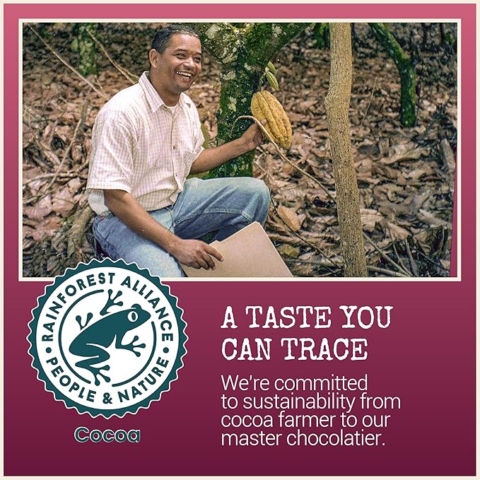 Chocolove Walnuts & Sea Salt Dark Chocolate Bars | 55% Cocoa | Crunchy Walnuts with a Salty Twist | Premium Dark Chocolate | Non-GMO, Gluten-Free, 3.2 oz Bar (12 Pack)